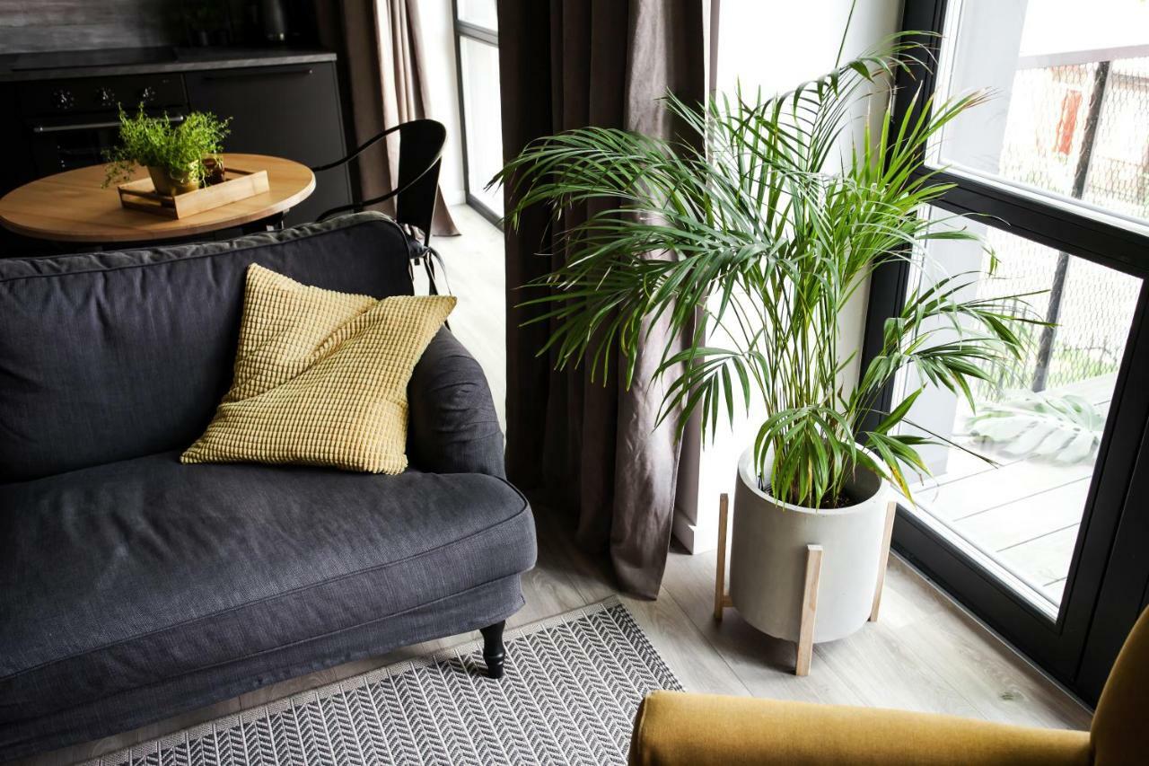 G - Owl Jazz -Modern Loft Type Apartment 18 With Big Roof Terrace And Free Private Parking Kaunas Exterior foto